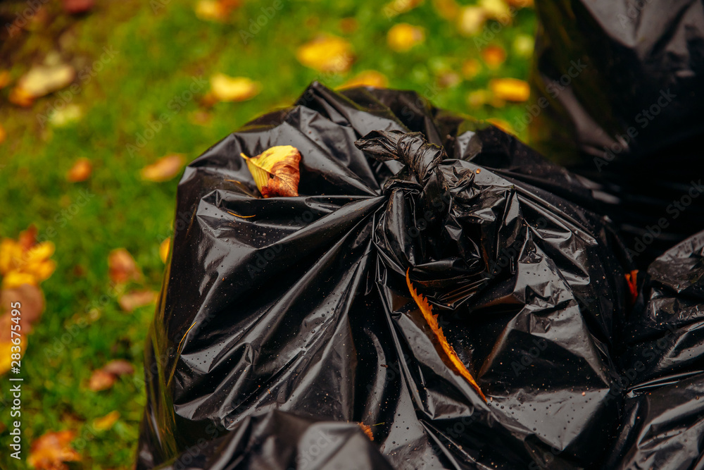Biodegradable garbage bags for collecting fallen autumn leaves Biodegradable garbage bags for collecting fallen autumn leaves