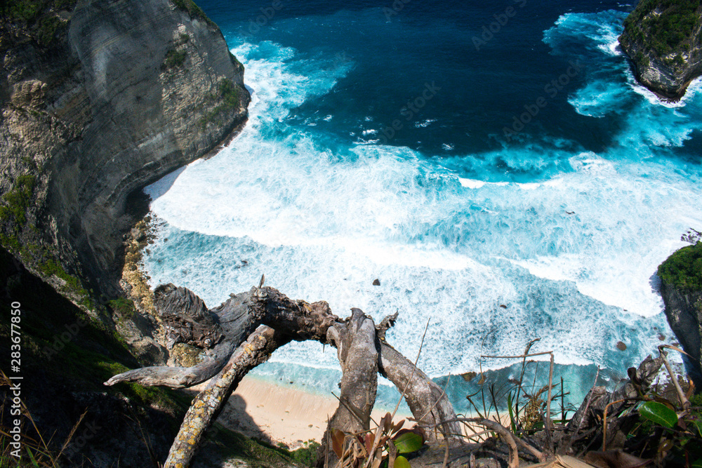 Rock, sea and driftwood in Bali