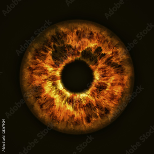 Bilde på lerret golden eye iris