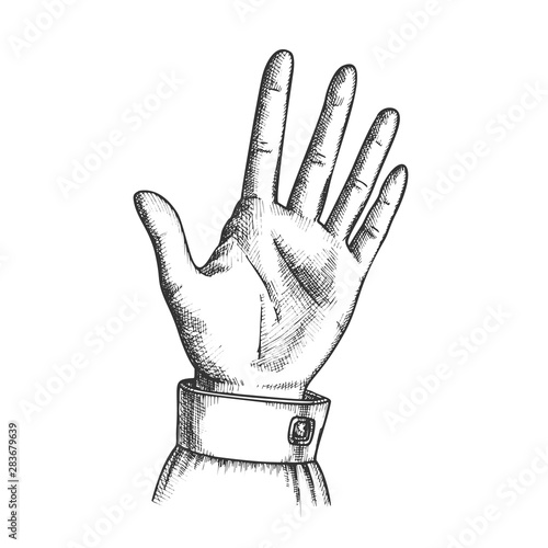 Female Hand Make Gesture Five Fingers Up Vector. Woman Demonstrate Gesture Sign Amount. Girl Open Palm Gesturing Counting Number Signal Black And White Hand Drawn In Retro Style Closeup Illustration