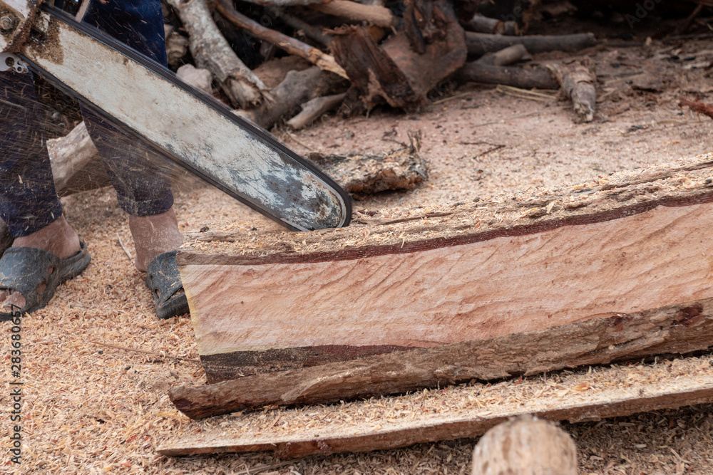 The worker works with a chainsaw. Chainsaw close up. Woodcutter saws tree with chainsaw. Man cutting wood with saw, dust and movements. The worker works with a chainsaw. Chainsaw close up. Woodcutter saws tree with chainsaw. Man cutting wood with saw, dust and movements.