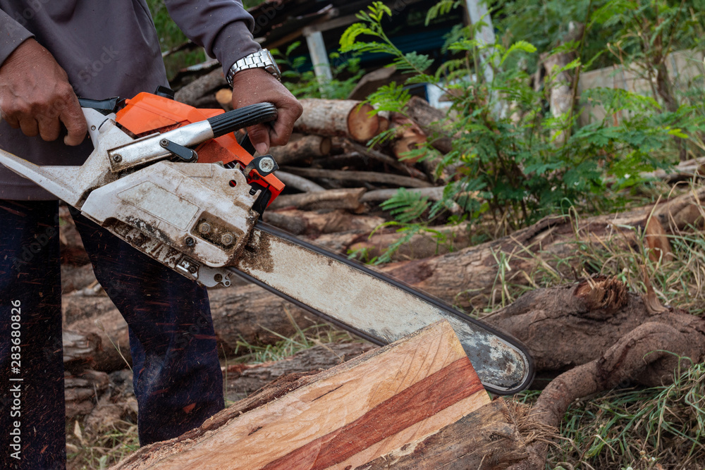 The worker works with a chainsaw. Chainsaw close up. Woodcutter saws tree with chainsaw. Man cutting wood with saw, dust and movements. The worker works with a chainsaw. Chainsaw close up. Woodcutter saws tree with chainsaw. Man cutting wood with saw, dust and movements.