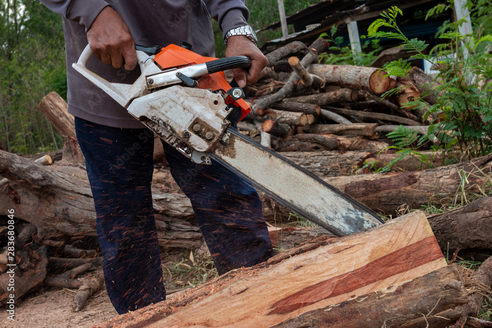 The worker works with a chainsaw. Chainsaw close up. Woodcutter saws tree with chainsaw. Man cutting wood with saw, dust and movements. The worker works with a chainsaw. Chainsaw close up. Woodcutter saws tree with chainsaw. Man cutting wood with saw, dust and movements.