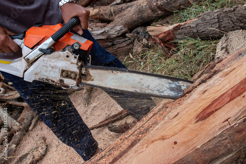 The worker works with a chainsaw. Chainsaw close up. Woodcutter saws tree with chainsaw. Man cutting wood with saw, dust and movements.