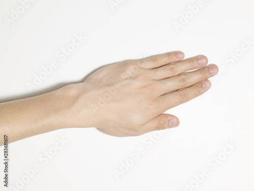 白背景の人間の手