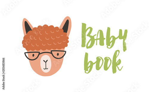 Face or head of cute amusing llama with glasses