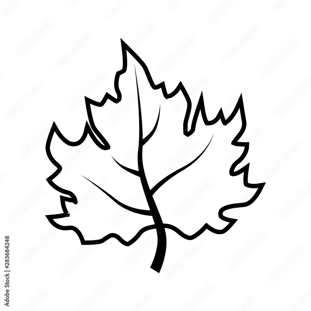 Maple leaf. Vector icon. Leaf illustration. Canada symbol. Maple leaf. Vector icon. Leaf illustration. Canada symbol.