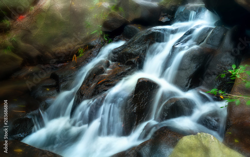 Close up of Magical stream in the rainforest with soft flowing water like wool flowing through the cliff
