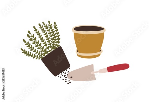 Potted plant transplantation