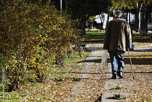 Elder man walking in the park 