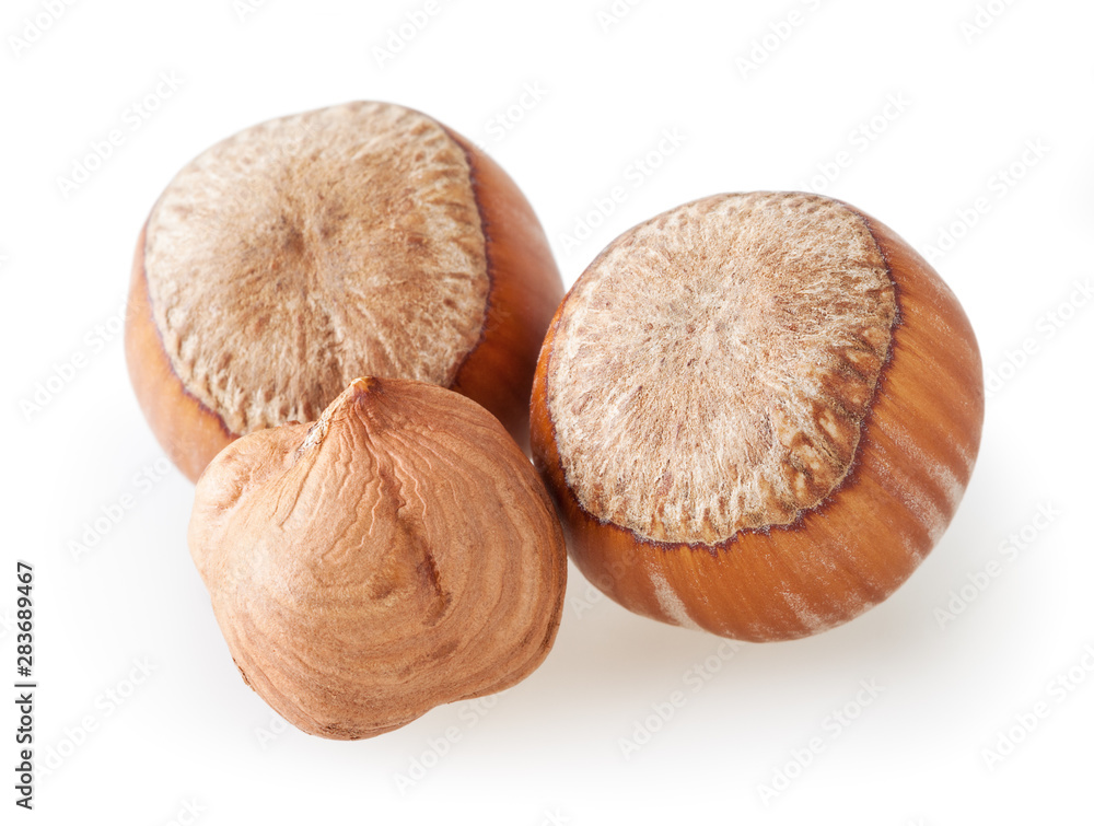 Filberts isolated on white background with clipping path Filberts isolated on white background with clipping path