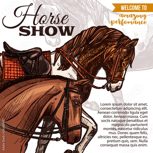 Vector template for horse riding poster with hand drawn horses with saddle and bridle. Design with sketch illustration for riding school or horse show