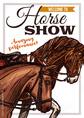 Design for horse riding poster with hand drawn horses. Sketch illustration for riding school, lessons, equestrian club or academy