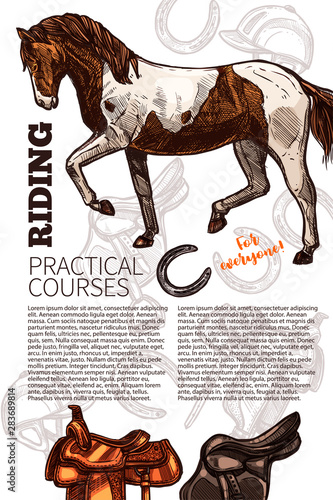 Vector template for horse riding poster with hand drawn horse. Design with sketch illustration for riding school, lessons, equestrian club or academy