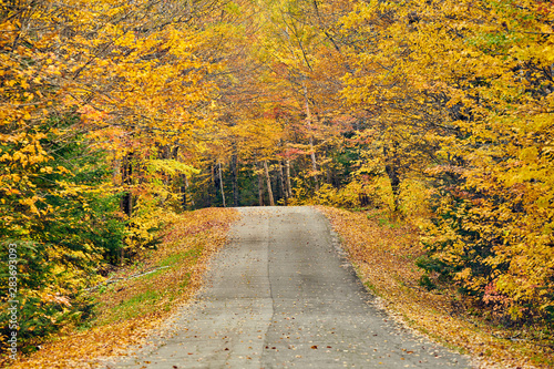 Autumn road in Maine  USA.