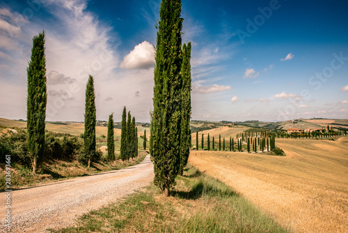 Beautiful landscape scenery of Tuscany in Italy - cypress trees along white road - aerial view -  close to Asciano, Tuscany, Italy