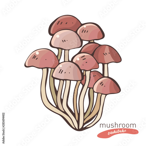 Enokitake mushroom in hand drawn vector illustration in color. Sketch food drawing isolated on white background. Organic, vegetarian product. Great for menu, label, product