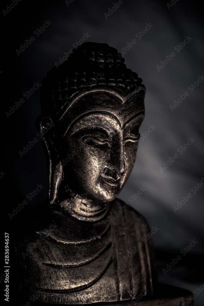 The statue of a half Buddha statue in the shadows