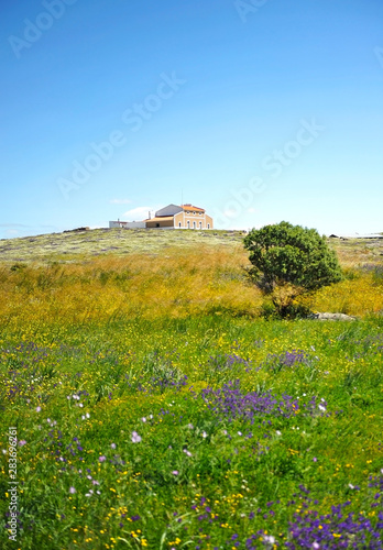 Beautiful landscape of a cattle farmhouse in spring Extremadura Spain