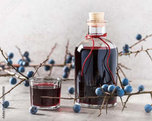 Glass of homemade sloe liqueur or gin decorated with fresh juicy ripe berries. Selective focus. Copy space. photo