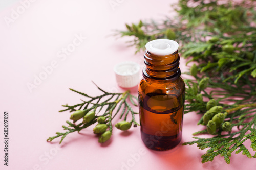 Thuja aroma essential oil in a glass jar on a pink background. Copy space. Selective focus.