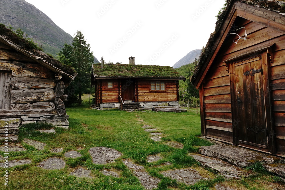 Villaggio di case di legno con tetto in erba in Norvegia