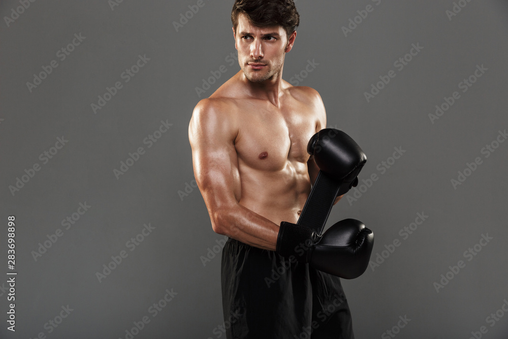 Concentrated handsome young strong sportsman boxer in gloves posing isolated over grey wall background.