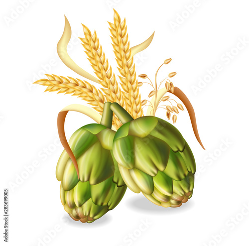 Hops and wheat ears Vector realistic. green fresh hops natural poster. 3d illustrations