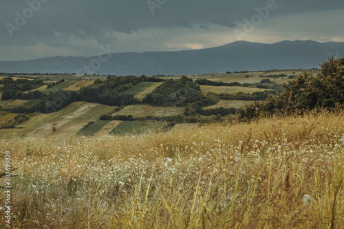 wild flower meadow in front of different fields in Rahovec, Kosovo photo