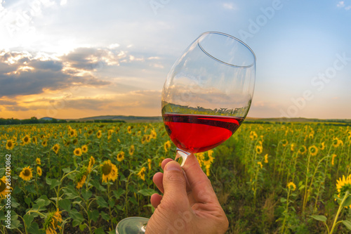 A glass of wine in nature