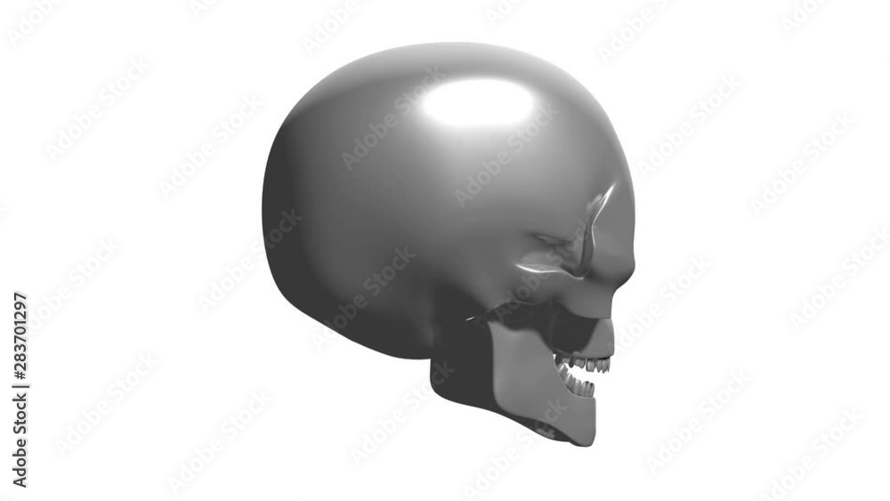 3D 4k rotating human skull - isolated on white background 3D 4k rotating human skull - isolated on white background