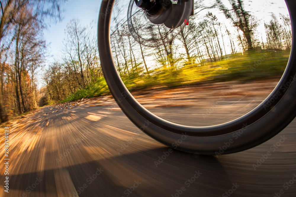 Bicycle riding in a city park on a lovely autumn/fall day (motion blur is used to convey movement) Bicycle riding in a city park on a lovely autumn/fall day (motion blur is used to convey movement)