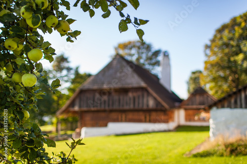 Blurred romantic chalet with in-focus appletree in the foreground
