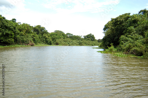 Pantanal