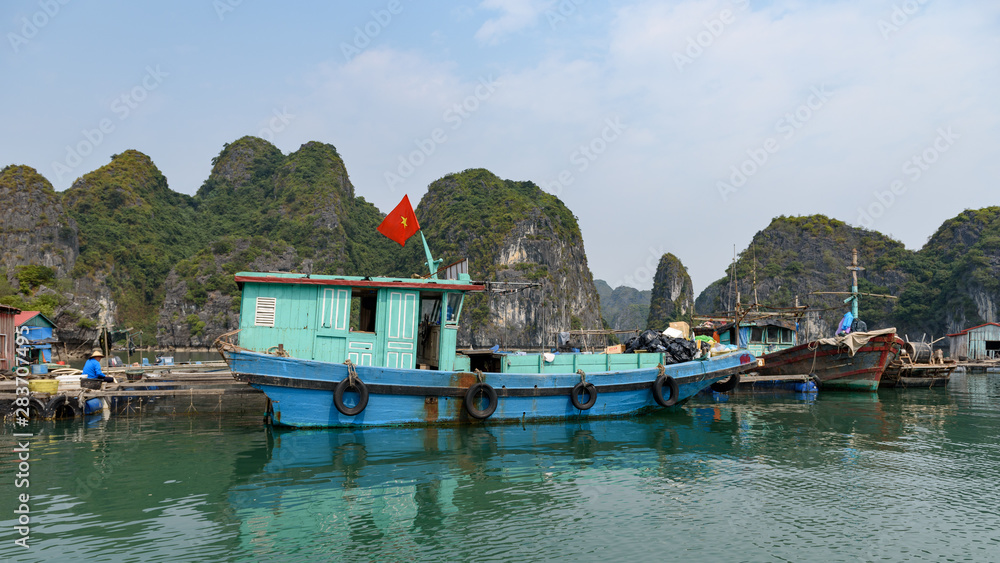 Vue rapprochée sur la Baie d'Ha Long et de Lan Ha avec des bateaux qui naviguent