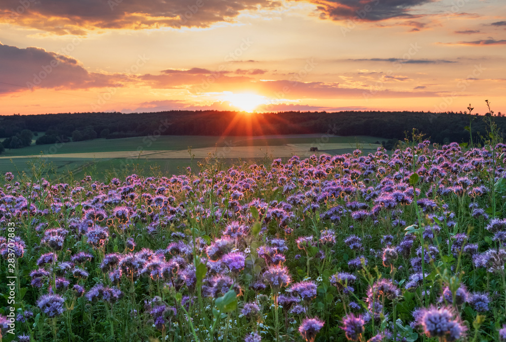 The landscape in Low Saxony, Germany. The landscape in Low Saxony, Germany.