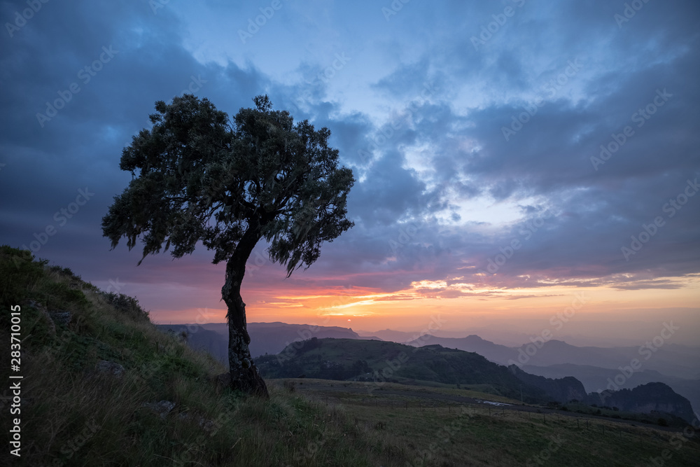 Fototapeta premium Simien Mountains, Ethiopia 