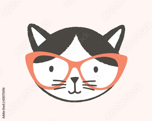 Funny face or head of clever cat wearing glasses