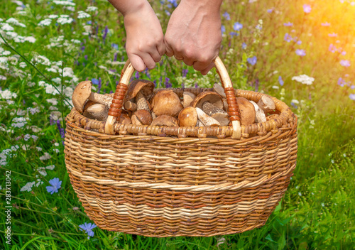 Dad and daughter are holding a huge basket of mushrooms. hand mushroom picker with a wicker basket filled with forest delicacies. mushroom season. Around the flowers and the sun is shining