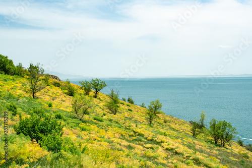 Grassy shore of lake Sevan in Armenia