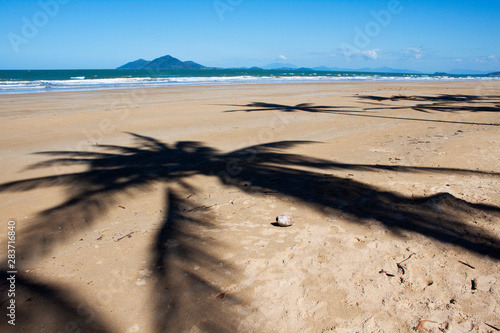 The wide, windswept beach at Mission Beach, Queensland, with shadows of the coconut palms on the sand and a coconut in the foreground.
