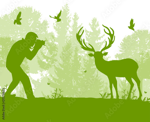 The man photographs a deer