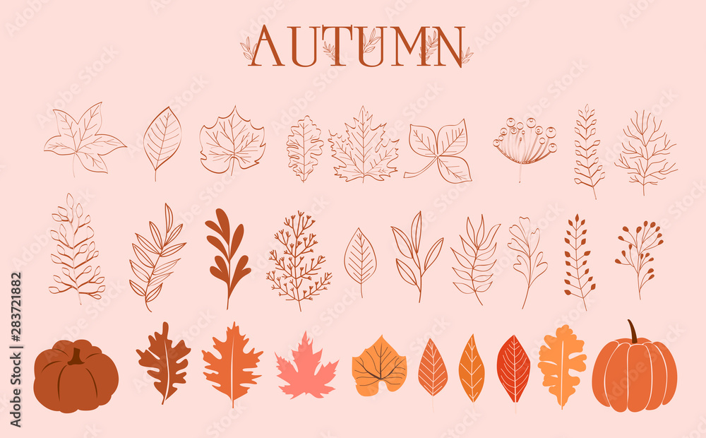 Autumn Collection of leaves, branches and pumpkins in one line style. Editable Vector illustration - obrazy, fototapety, plakaty 