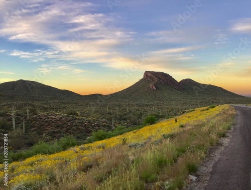 A sunrise during Spring in Arizona