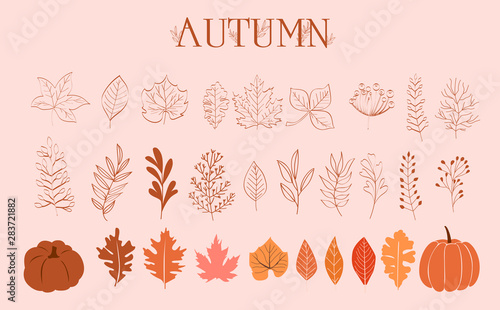 Autumn Collection of leaves, branches and pumpkins in one line style. Editable Vector illustration