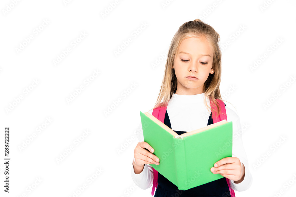 cute, serious schoolgirl reading book isolated on white with copy space cute, serious schoolgirl reading book isolated on white with copy space