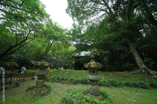 松島の円通院のお庭