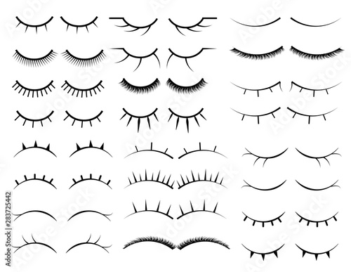Set of female eyelashes