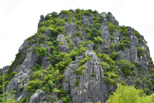 beautiful high stone rock in a green forest Has a white background
