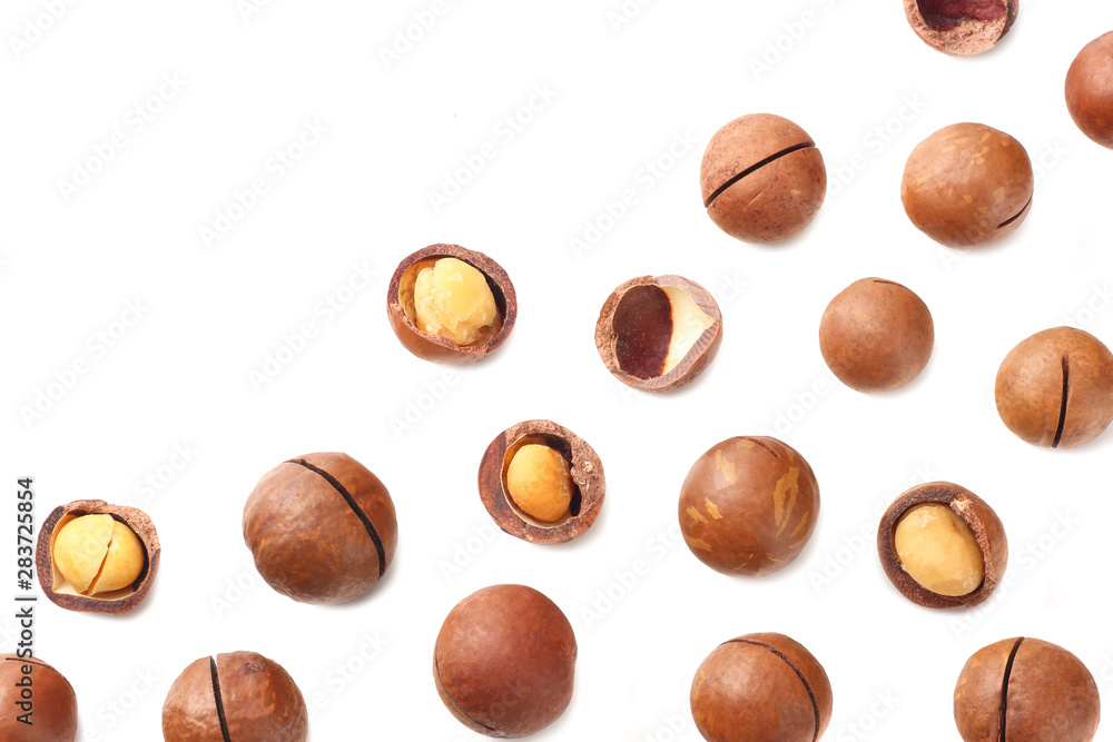 custom made wallpaper toronto digitalMacadamia nut isolated on a white background. top view